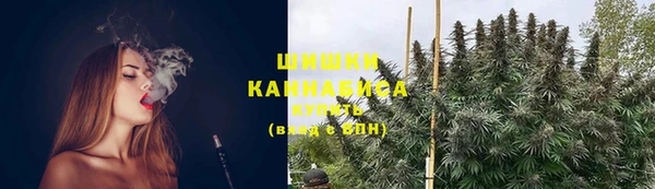 твердый Кулебаки